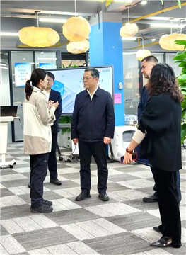 市委常委、统战部部长胡勇政调研“头雁”学员企业-武汉商启网络