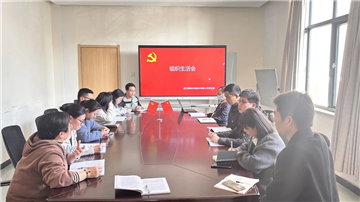 微创光电召开2024年度基层党组织生活会